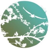 Olive Tree Clothing – 30% Off Sale & New Commercial! Olive Tree Clothing – 30% Off Sale & New Commercial!