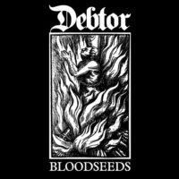 Debtor – Bloodseeds Debtor – Bloodseeds