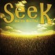 Steve Owsinski - Seek And You Will Find