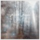Josiah James - All Forgotten Things