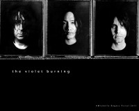 The Violet Burning “The Story of Our Lives” Now on All Digital Networks The Violet Burning “The Story of Our Lives” Now on All Digital Networks