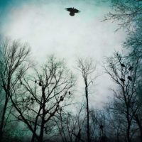 Check Out: Over the Ocean Check Out: Over the Ocean
