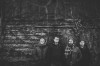 Young Fox Stream New Album Young Fox Stream New Album