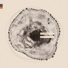 Tim Neufeld - Trees