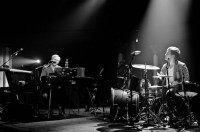 Swimming With Dolphins To Release New Album Swimming With Dolphins To Release New Album