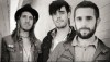 Willet – Searchlight Willet – Searchlight