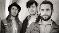 Willet – Searchlight Willet – Searchlight