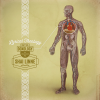 Shai Linne – Lyrical Theology Part Two: Doxology Shai Linne – Lyrical Theology Part Two: Doxology