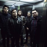 Bloodlines – Flesh Bloodlines – Flesh
