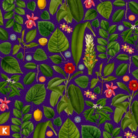 King’s Kaleidoscope – Becoming Who We Are King’s Kaleidoscope – Becoming Who We Are