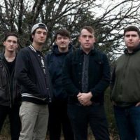 Check Out Of Lions Check Out Of Lions