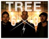 Tree63 Announces Return With Kickstarter Campaign Tree63 Announces Return With Kickstarter Campaign