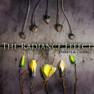 The Radiance Effect – Separate & Change The Radiance Effect – Separate & Change