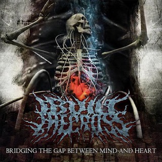 I Built The Cross – Bridging The Gap Between Mind And Heart