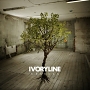 Ivoryline – Vessels Ivoryline – Vessels