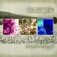 Calling Out Closer - The Parallel EP