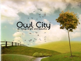 Owl City Owl City