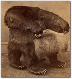 While hearing the commotion outside, Elijah presumably sat in a chair at least as manly as this one.