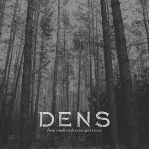 Future Of Forestry Discography Of The Band