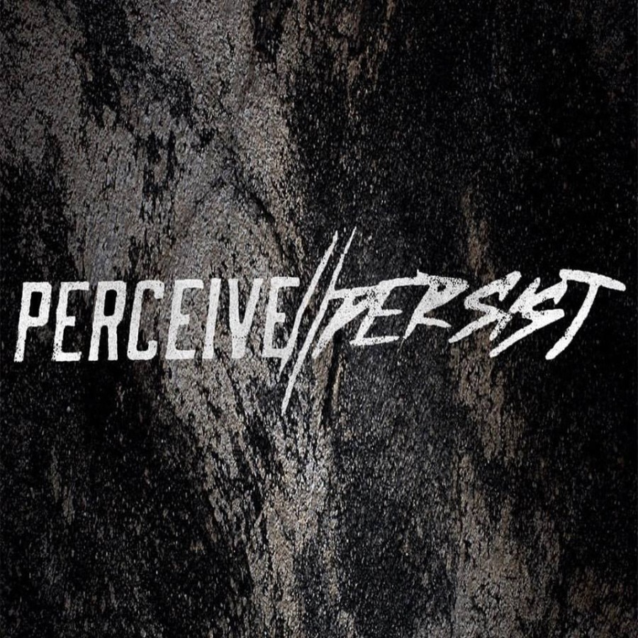 Perceive//Persist