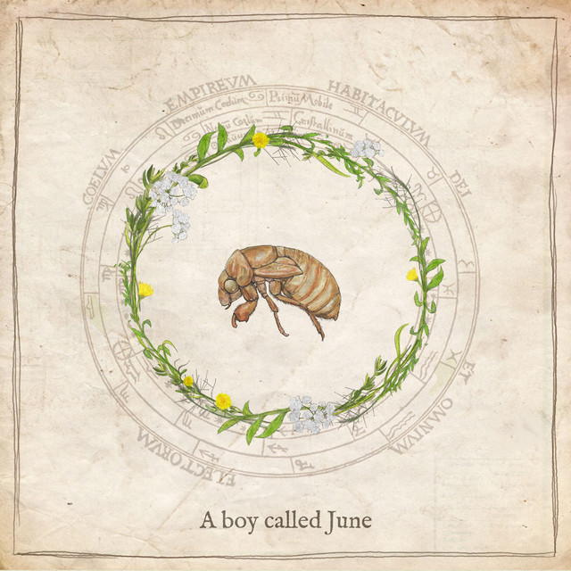 Adjy release A Boy Called June