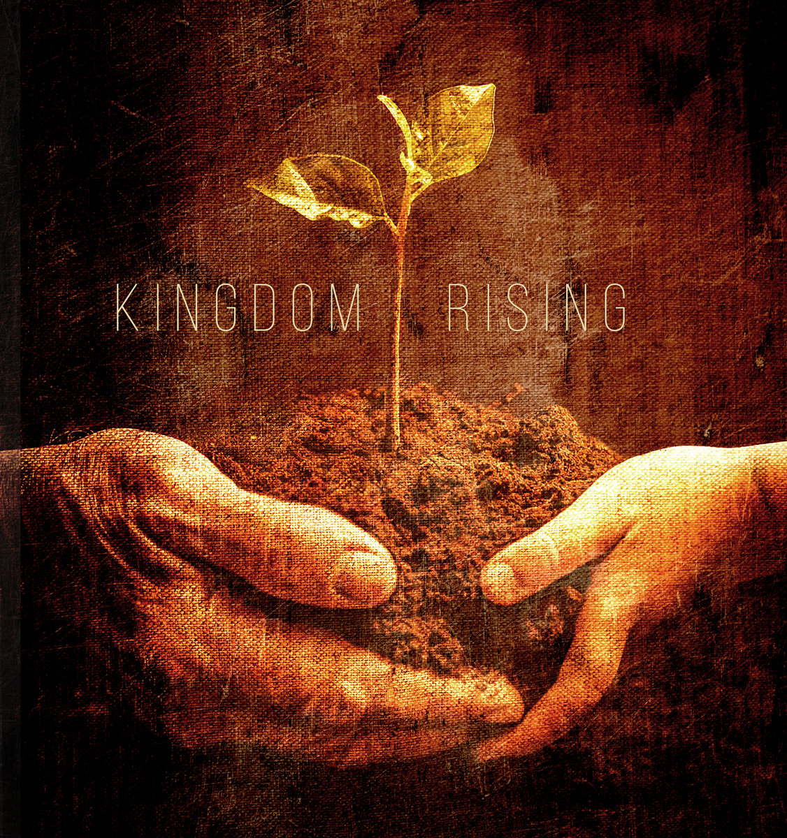 Album Review : Seth Davey - Kingdom Rising | Indie Vision Music